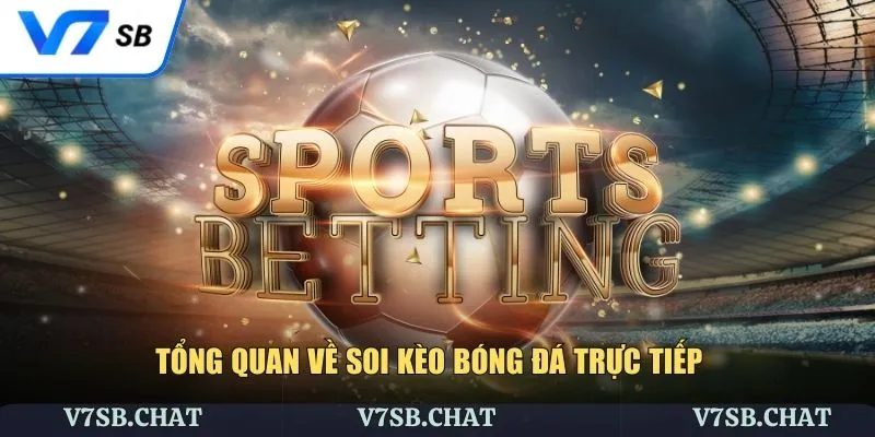 Soi kèo bóng đá trực tiếp cùng chuyên gia